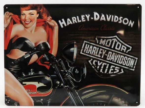 Okrasna pločevinasta plošča/tabla Harley Davidson American Biker Babe (40x30 cm)